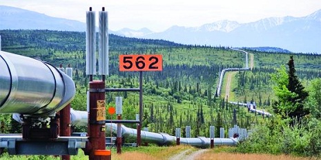  Transneft: Reverse of Baku-Novorossiysk pipeline is undesirable 